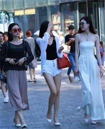 猫咪账号密码大全真的