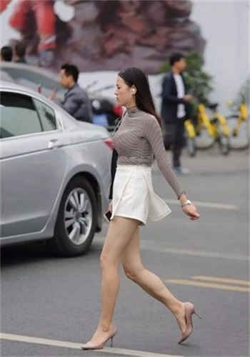 公马的马鞭图片