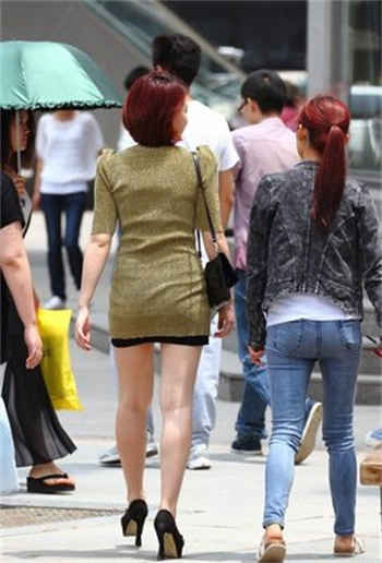 谢景辰苏锦