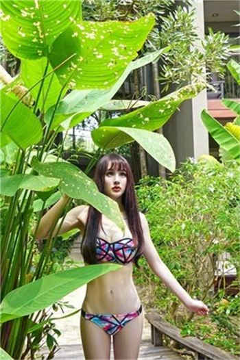 seetong官网下载苹果