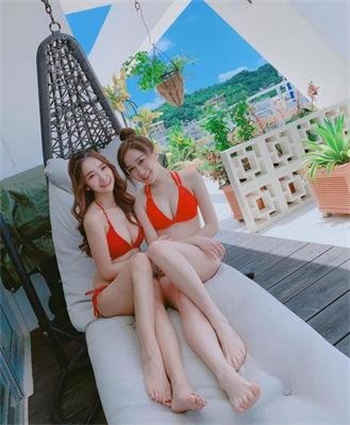 沈若雪傅晨瑾军婚