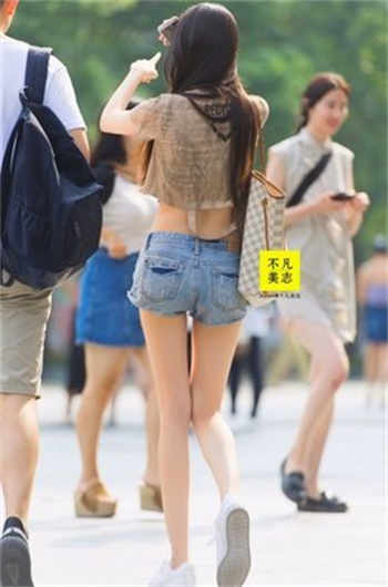 阮星晚周辞深全文免费