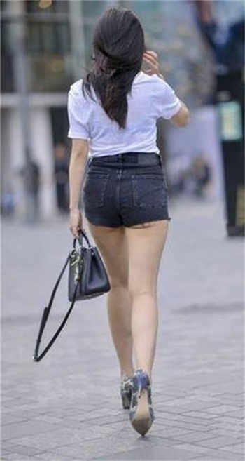 插翅难飞简介小说