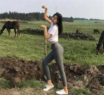 软件库分享链接