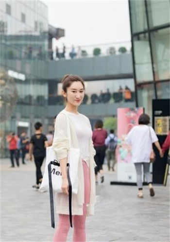 假恐龙的小说