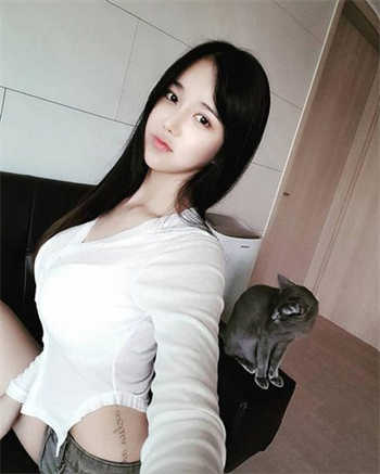 寅墨和白伊是什么小说